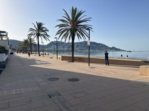 Boulevard met palmbomen, Roses