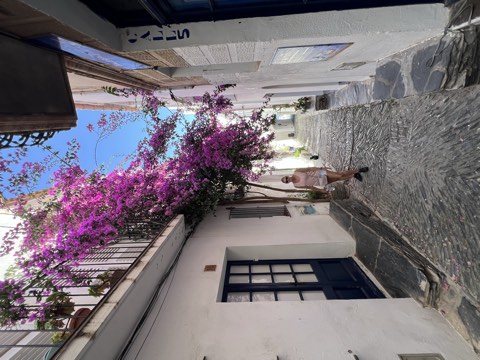 Costa Brava foto